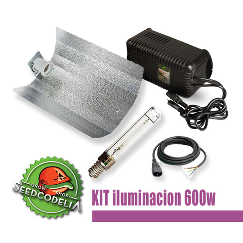 Kit Iluminación 600w