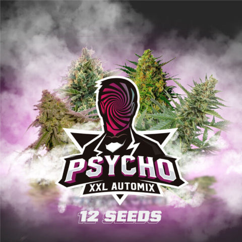 Auto Psycho XXL Mix x 12 Semillas