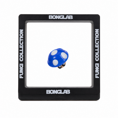 Carb Cap Fungi Collection Blue