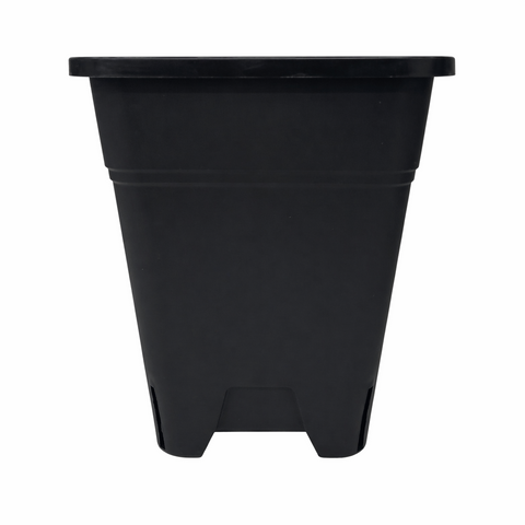 Maceta Pro Negra 2 Lts