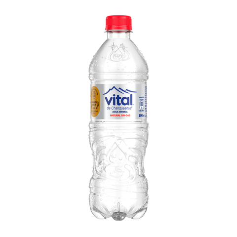 Agua Vital Sin Gas 600 ml