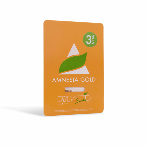 Amnesia Gold x 5+2 Semillas Feminizadas