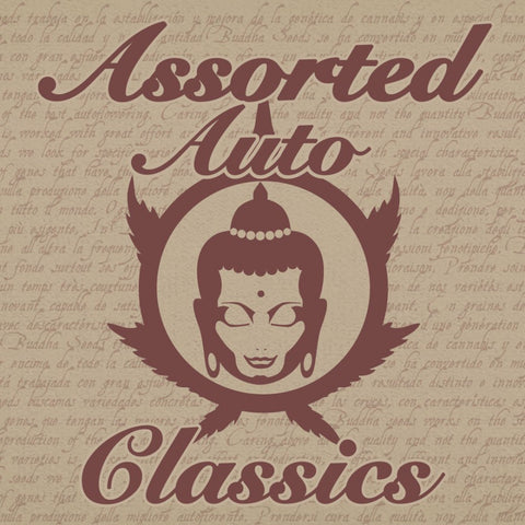 Auto Assorted Classic Mix x 10 Semillas