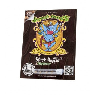 Black Muffin F1 Fast Version x 3+1 Semillas Feminizadas