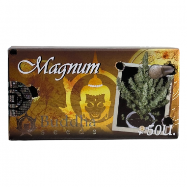 Auto Magnum x 50 Semillas
