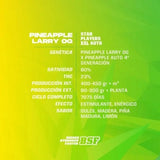Auto Pineapple Larry XXL x 4 Semillas