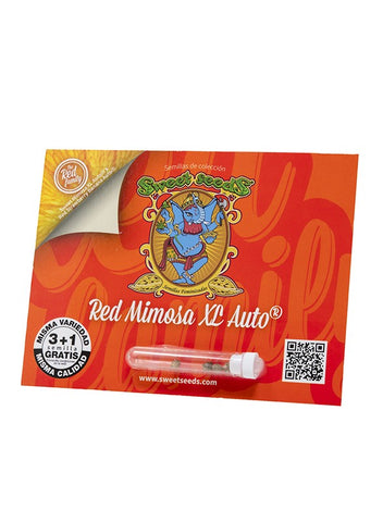 Auto Red Mimosa XL x 3+1 Semillas