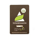 Tutankhamon x 3+1 Semillas Feminizadas