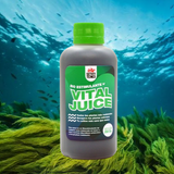 Vital Juice Bio Estimulante 60 ml