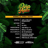 Auto Gorilla Piña x 4 Semillas