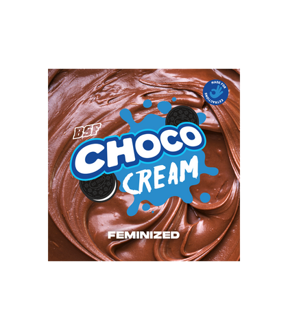 Choco Cream  x 4 Semillas Feminizadas