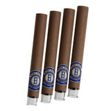 Mini Rolls Pre Enrolados con Boquilla de Vidrio Sabor Arandano