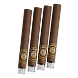 Mini Rolls Pre Enrolados con Boquilla de Vidrio Sabor Miel