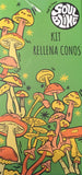 Kit Rellena Conos