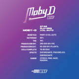 Auto Moby D XXL x 12 Semillas