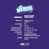 Nerdz x 4 Semillas Feminizadas