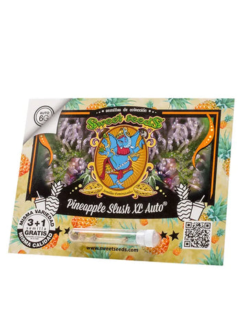 Auto Pineapple Slush XL x 3+1 Semillas