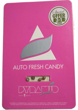 Auto Fresh Candy x 3+1 Semillas