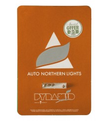 Auto Northern Lights x 3+1 Semillas