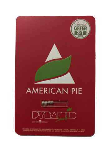 American Pie x 3+1 Semillas Feminizadas