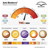 Auto Blueberry x 3 Semillas