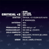 Auto Critical + 2 XXL x 12 Semillas