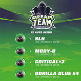 Dream Team Mix x 12 Semillas Feminizadas