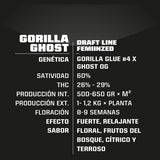 Gorilla Ghost x 4 Semillas Feminizadas