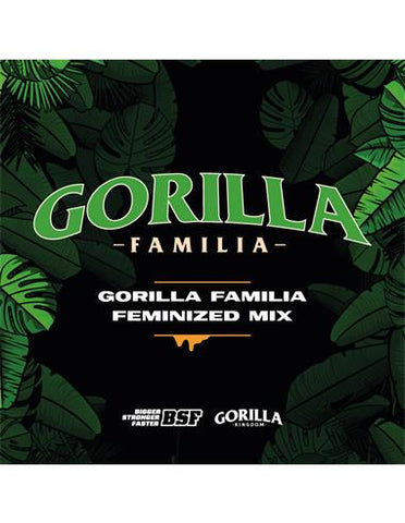 Gorilla Familia GK Mix x 12 Semillas Feminizadas