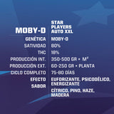 AUTO MOBY-D XXL X 4 Semillas