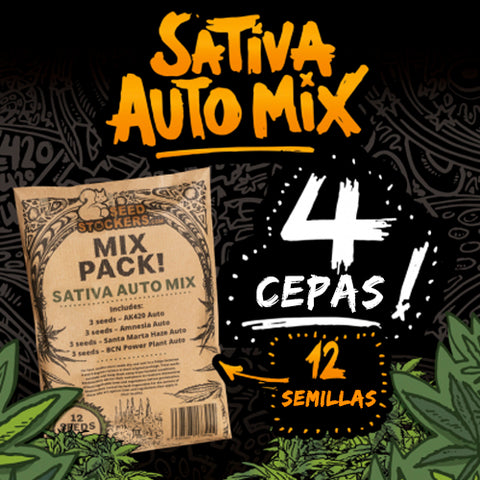 Sativa Auto Mix x 12 Semillas