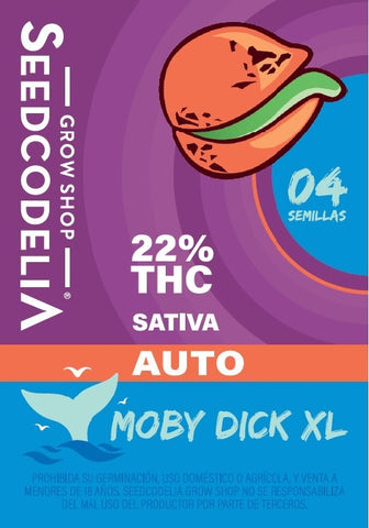 Auto Moby Dick XL x 4 Semillas