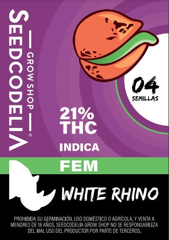 White Rhino x 4 Semillas Feminizadas