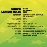 SLH Super Lemon Haze x 2 Semillas Feminizadas