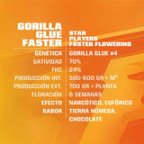 Gorilla Glue Faster x 12 Semillas Feminizadas