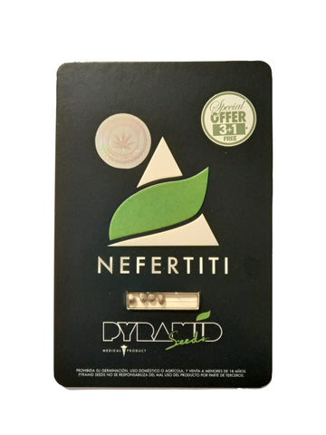 Nefertiti x 3+1 Semillas Feminizadas