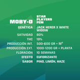 Moby D x 12 Semillas Feminizadas