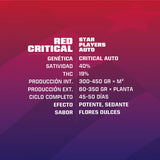 Auto Red Critical x 2 Semillas