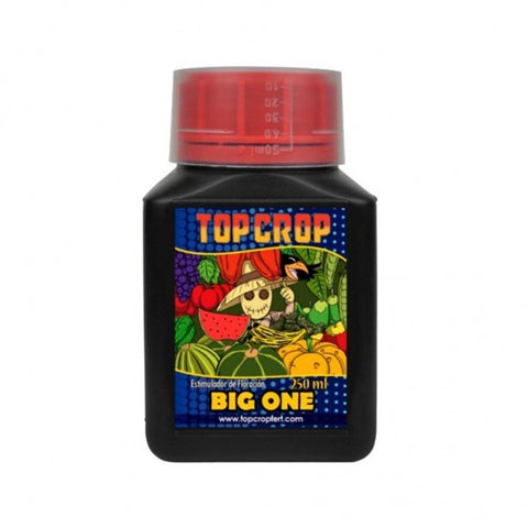 Big One 250 ml (Floracion/Estimulacion)
